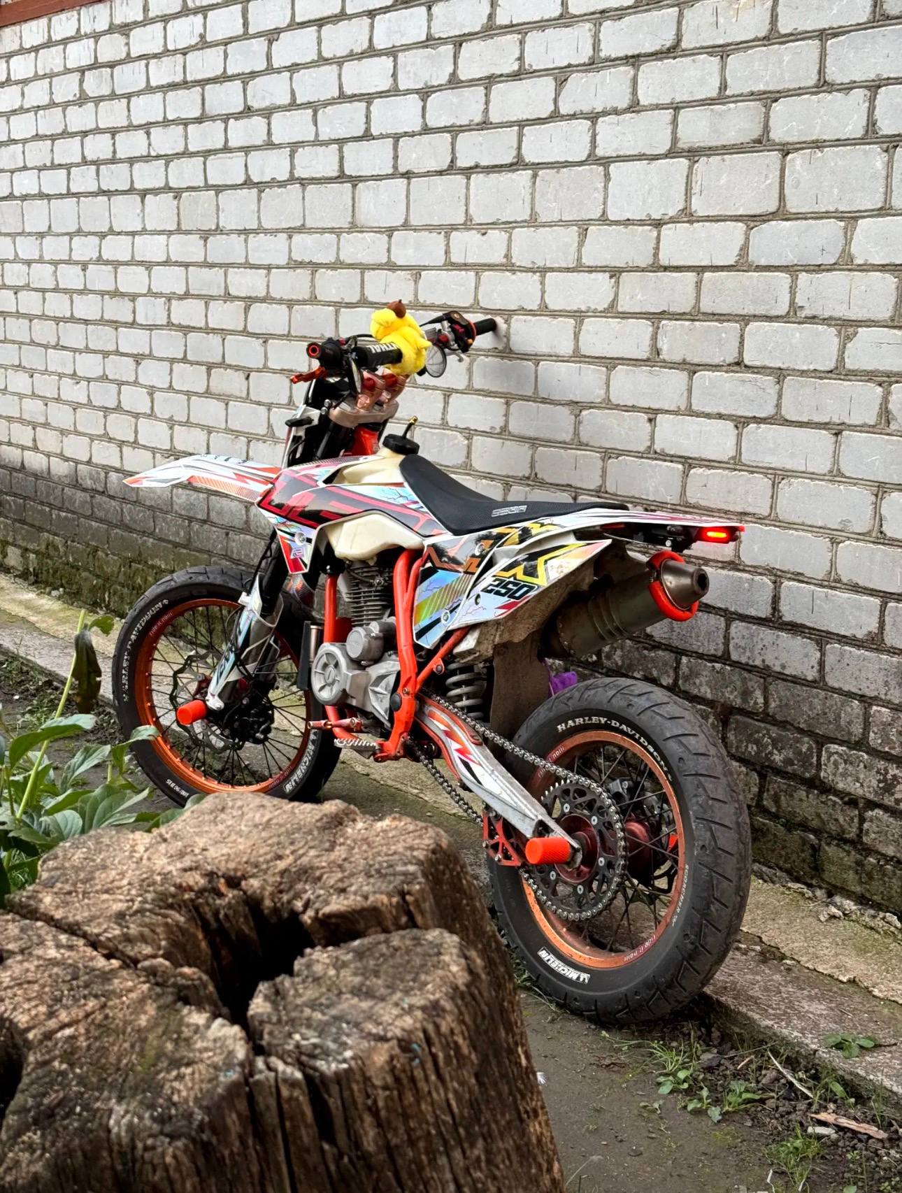 Geon Terrax 250